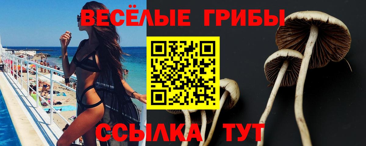 Галлюциногенные грибы мухоморы Кувандык