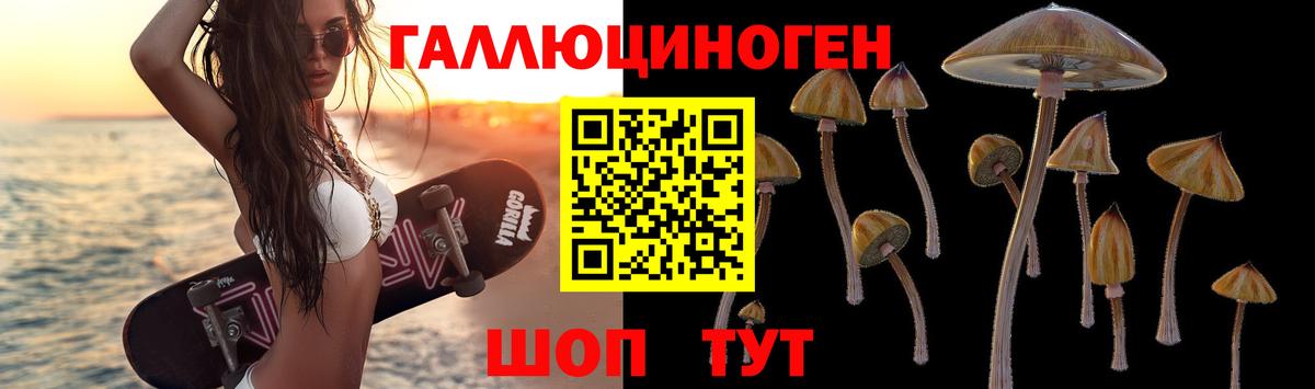 Псилоцибиновые грибы Magic Shrooms  Вход с VPN  Кувандык 
